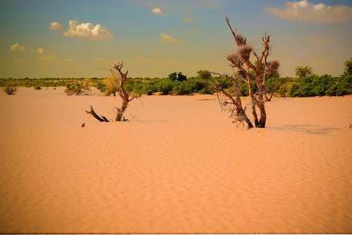 desertización