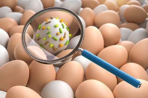 bacterias