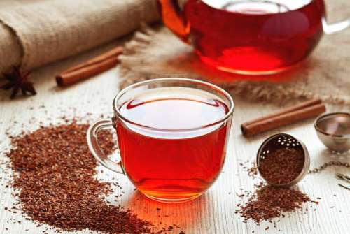 te rooibos