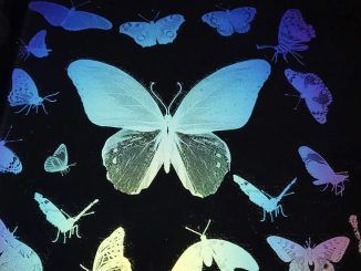 Este nuevo método permite imprimir imágenes a color… utilizando tinta transparente