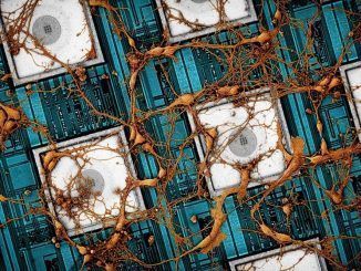 Samsung propone «copiar y pegar» datos de nuestro cerebro en chips de memoria: los fabricantes ya piensan en cómo usar la computación neuromórfica