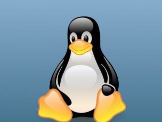 «Linux está obsoleto», la historia detrás de la declaración que provocó el debate más apasionante acerca de este sistema operativo