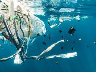 Eliminar el plástico de nuestras vidas hoy por hoy es imposible: estos investigadores buscan una manera de hacerlo menos malo con el medio ambiente
