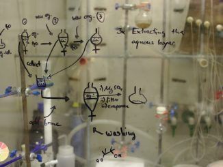 Cómo una idea sencillísima que llevaba más de 20 años olvidada en un cajón nos sacó de la «edad de piedra» de la ingeniería molecular y acaba de ganar el Nobel