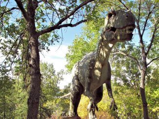 Unos investigadores aseguran haber encontrado ADN de dinosaurio fosilizado «exquisitamente conservado» tras 125 millones de años