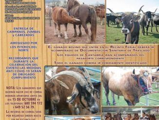 Los Piteros del Norte en la Feria de Año de Requejo. Domingo 17 de octubre.