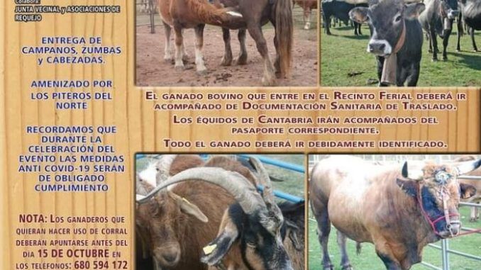 Los Piteros del Norte en la Feria de Año de Requejo. Domingo 17 de octubre.