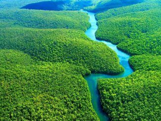 Acuerdo histórico en Glasgow: un centenar de gobiernos lucharán unidos para poner fin a la deforestación en 2030