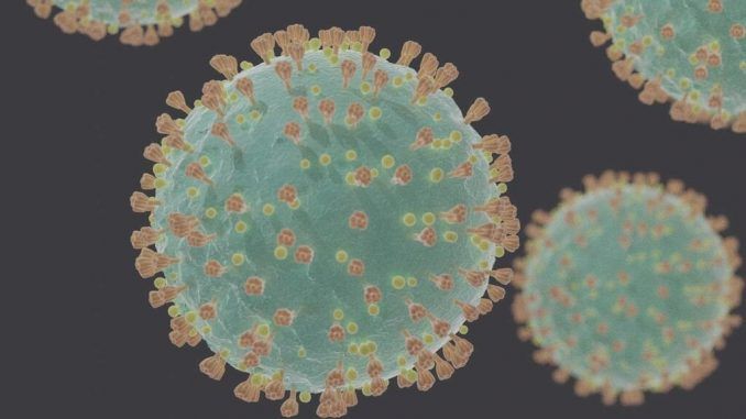 Con más de 30 mutaciones, imprevisible y más contagiosa: así es la variante sudafricana de la Covid que dispara todas las alarmas en Europa