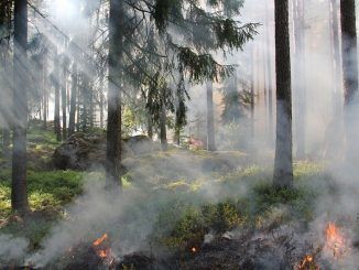 Un incendio masivo convirtió la Antártida en un infierno hace 75 millones de años: la culpa fue del calentamiento global y los volcanes