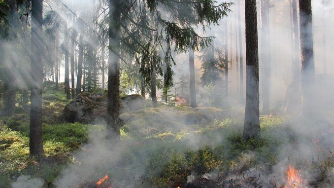 Un incendio masivo convirtió la Antártida en un infierno hace 75 millones de años: la culpa fue del calentamiento global y los volcanes