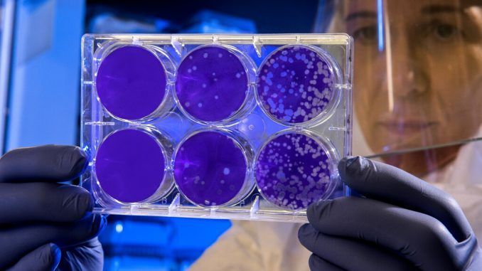 Lo que sí hemos aprendido de la pandemia: así vamos a intentar monitorizar todos los virus respiratorios que circulan por el país