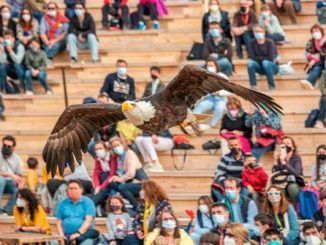 Puy du Fou podría recibir un millón de visitantes en su temporada 2022