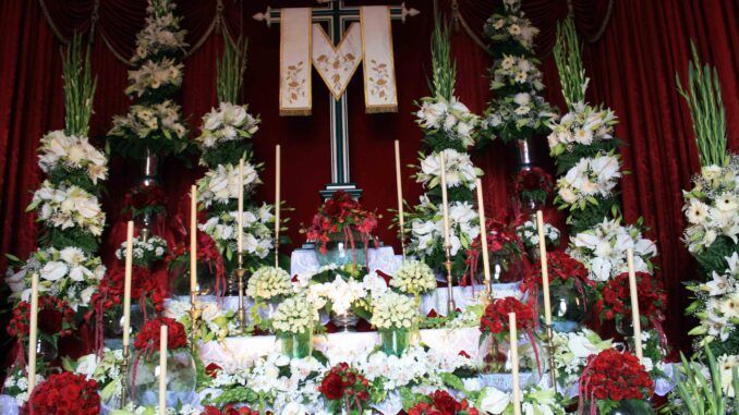 Los fuegos artificiales más grandes de Euorpa se lanzarán en Los Realejos, Tenerife
