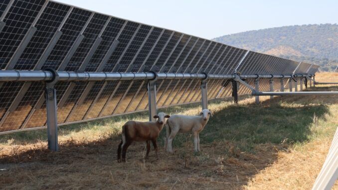 Tecnología solar China en Extremadura