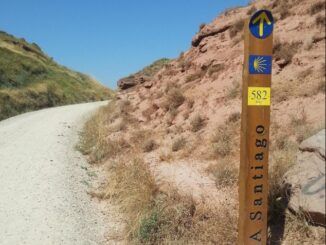 ¿Quieres hacer el Camino de Santiago? contacta con Santiago Ways, la agencia líder en viajes de senderismo